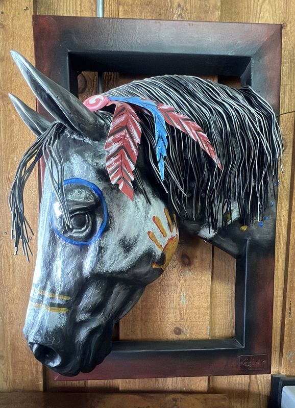 Apached Horse with Mane Below
