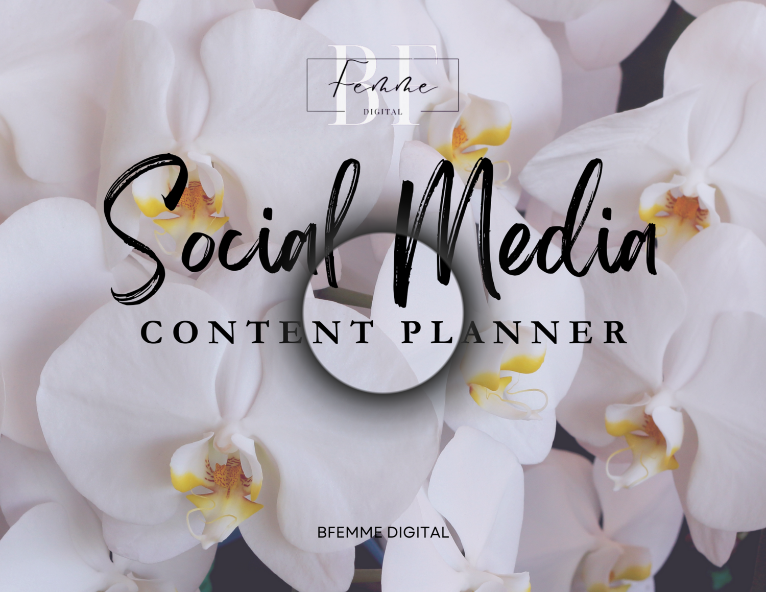 BF Digital Social Media Content Planner