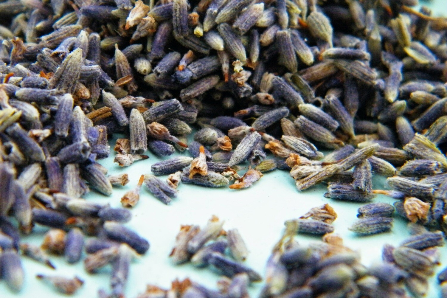 Dried lavender potpourri natural