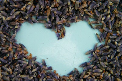 Dried lavender wedding confetti
