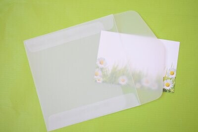 Square glassine paper envelopes empty pack of 10