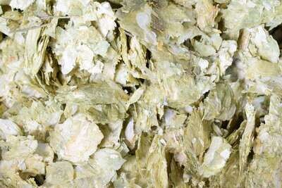 Dried Kentish hops wholesale