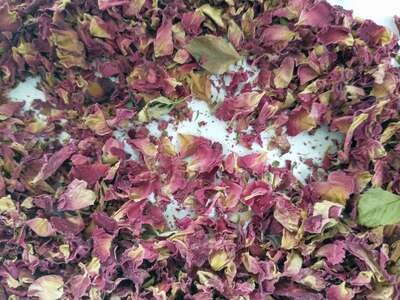 Burgundy red rose petals seconds dry