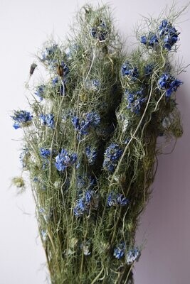 Dried flower bunch blue Nigella - Love in a Mist
