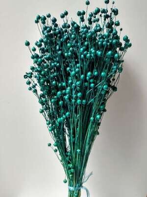 Dried Linum Flax bunch with seed pods Teal