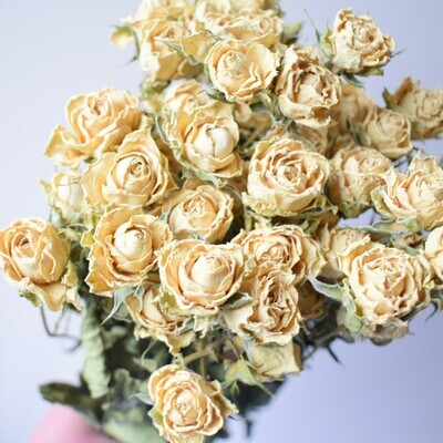 Cream roses dried flower bunch