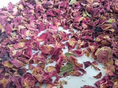 Burgundy rose petals dried