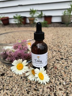 Daisy Flower Essence