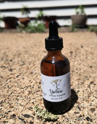 Yarrow Flower Essence