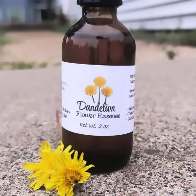 Dandelion Flower Essence