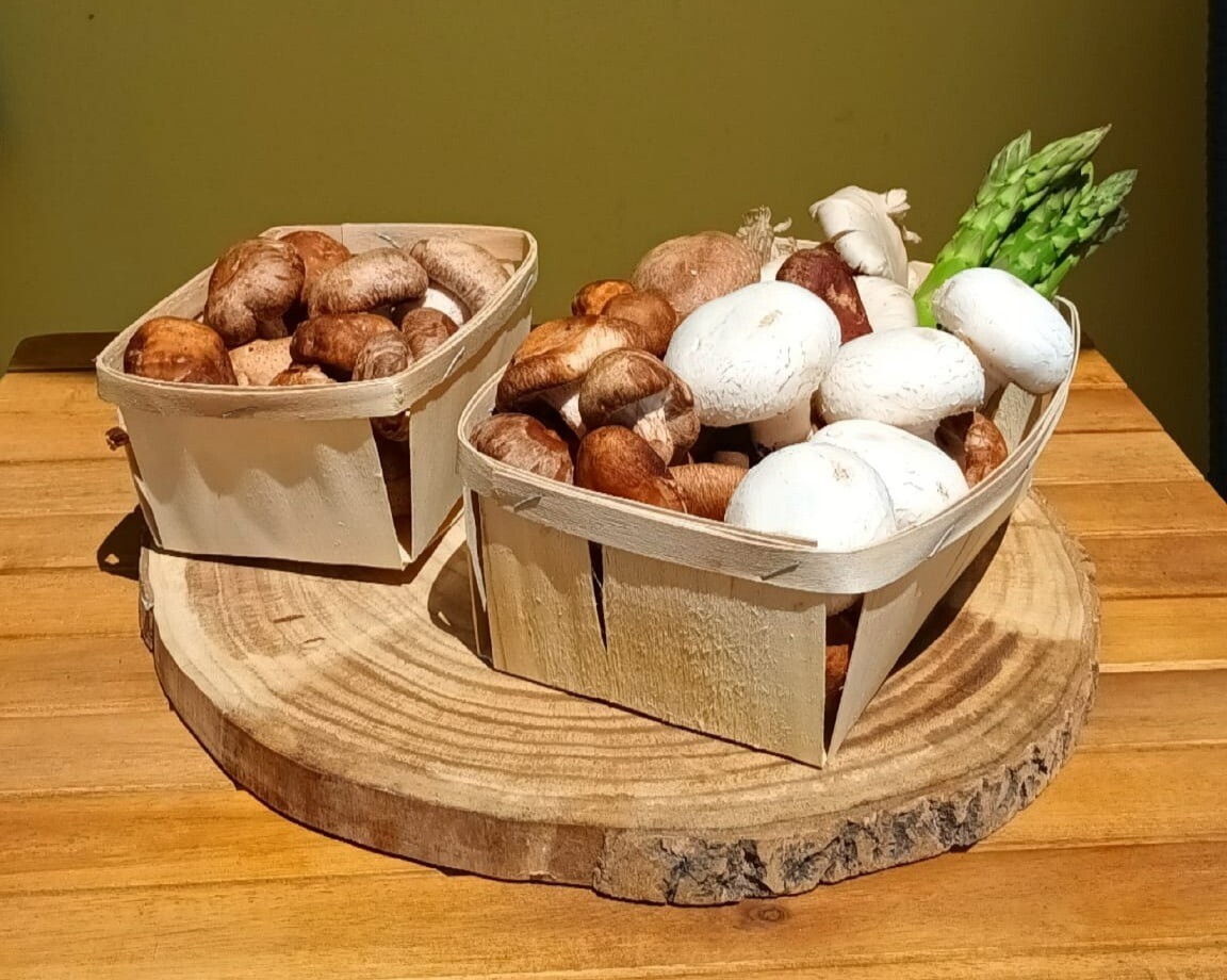 Cogumelos Shiitake a partir de