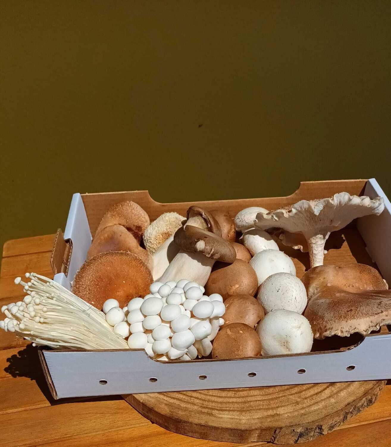 Mix de Cogumelos a partir de