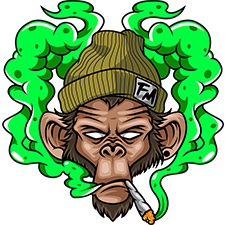 Flying Monkey