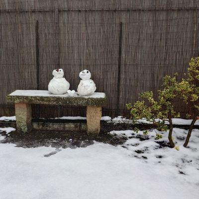 いい夫婦（結婚と金婚）