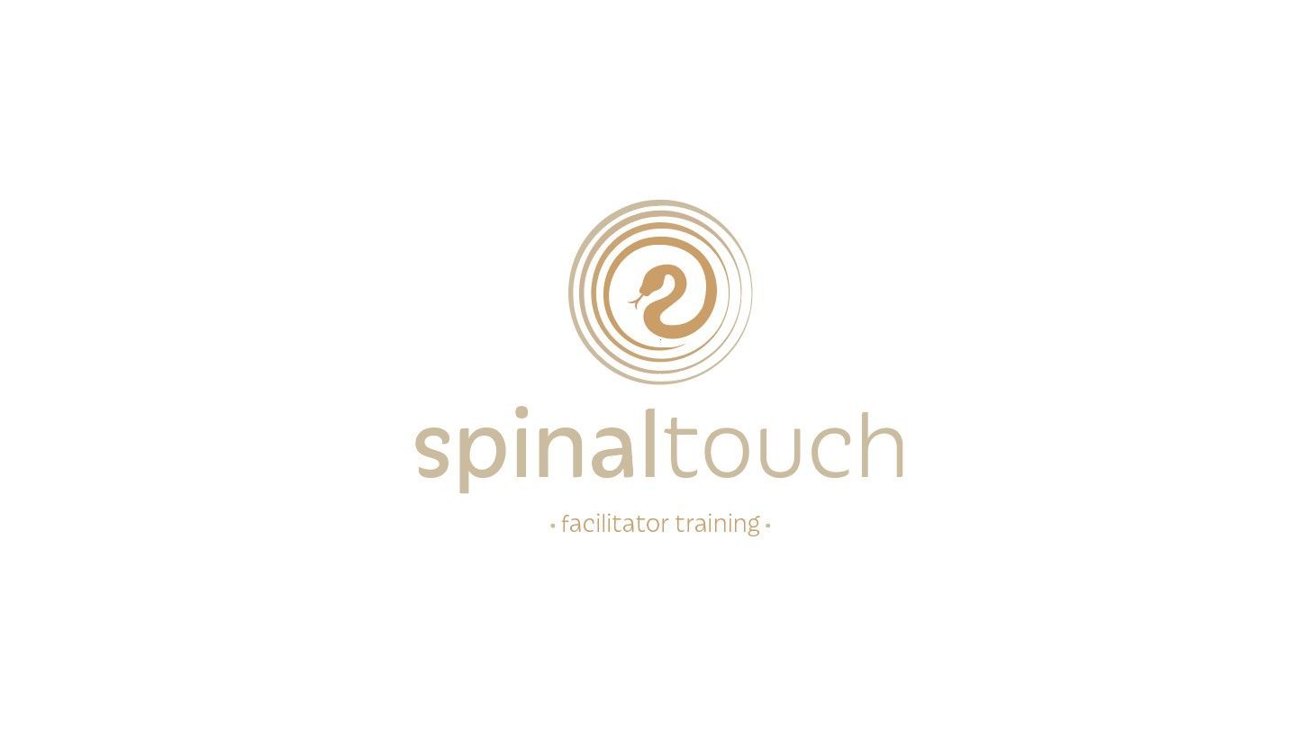 2 daagse verdieping Spinal Touch®  | uitsluitend op uitnodiging | 20 & 21 maart '26