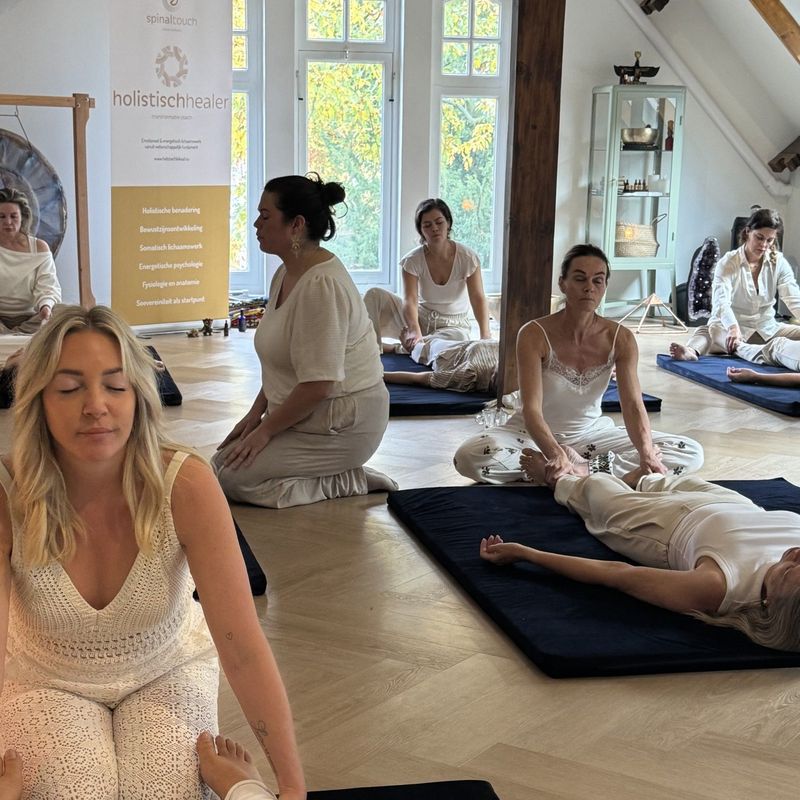 Holistisch Healer® | Start 4 september 2026 | 13 daagse beroepsopleiding tot Holistisch Integratietherapeut
