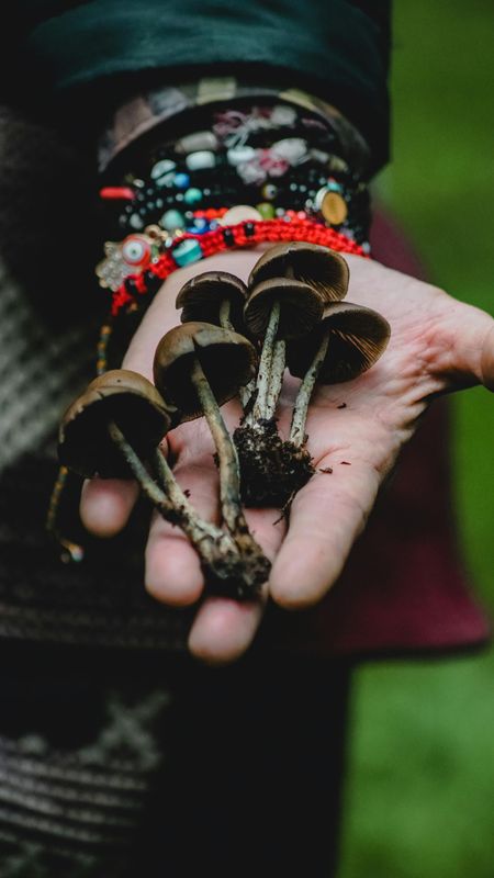 Teacher Training Bewustzijnsverruimende Processen