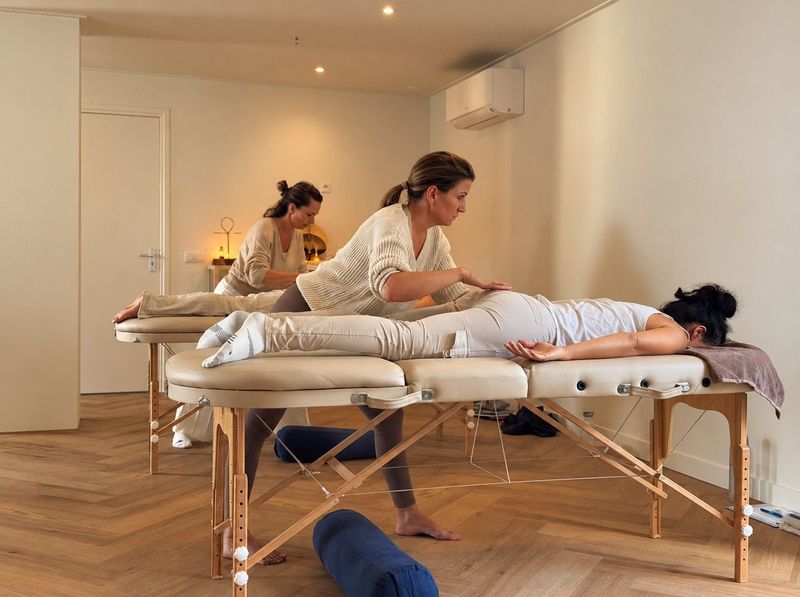 Spinal Touch® Practitioner Opleiding | 7 daagse | start maart '27