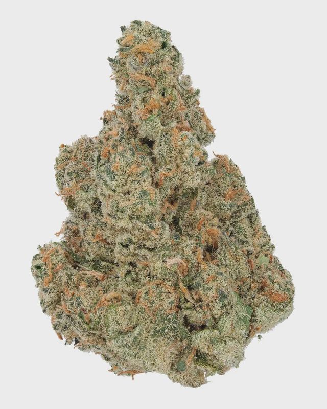 WNC: Indoor Blue Dream Living Soil - THCa Sativa Hybrid Flower 3.5g