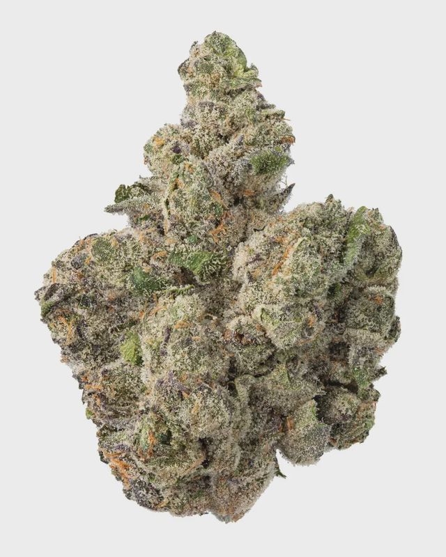 WNC: Gary Payton Hydro 7g - Hybrid THCa Flower