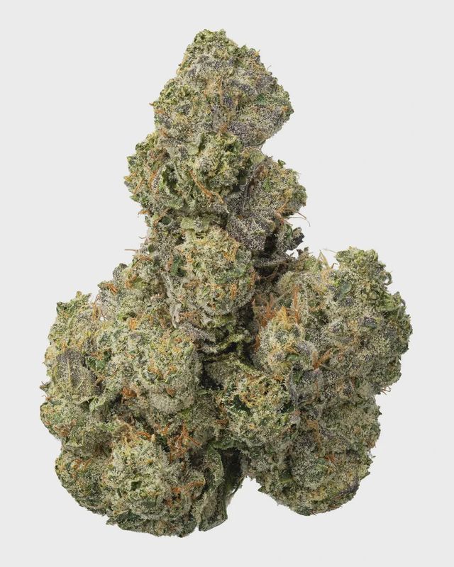 WNC: Gorilla Cookies Hydro 7g - Sativa THCa Flower