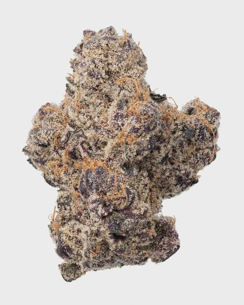 WNC: Mango Mojito Hydro - THCa Hybrid Flower 3.5g