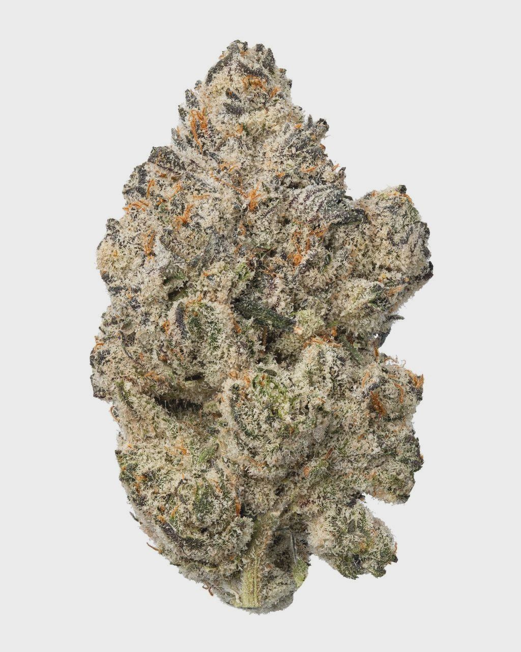 WNC: Cali Raisin Hydro - Indica THCa Flower - 3.5g
