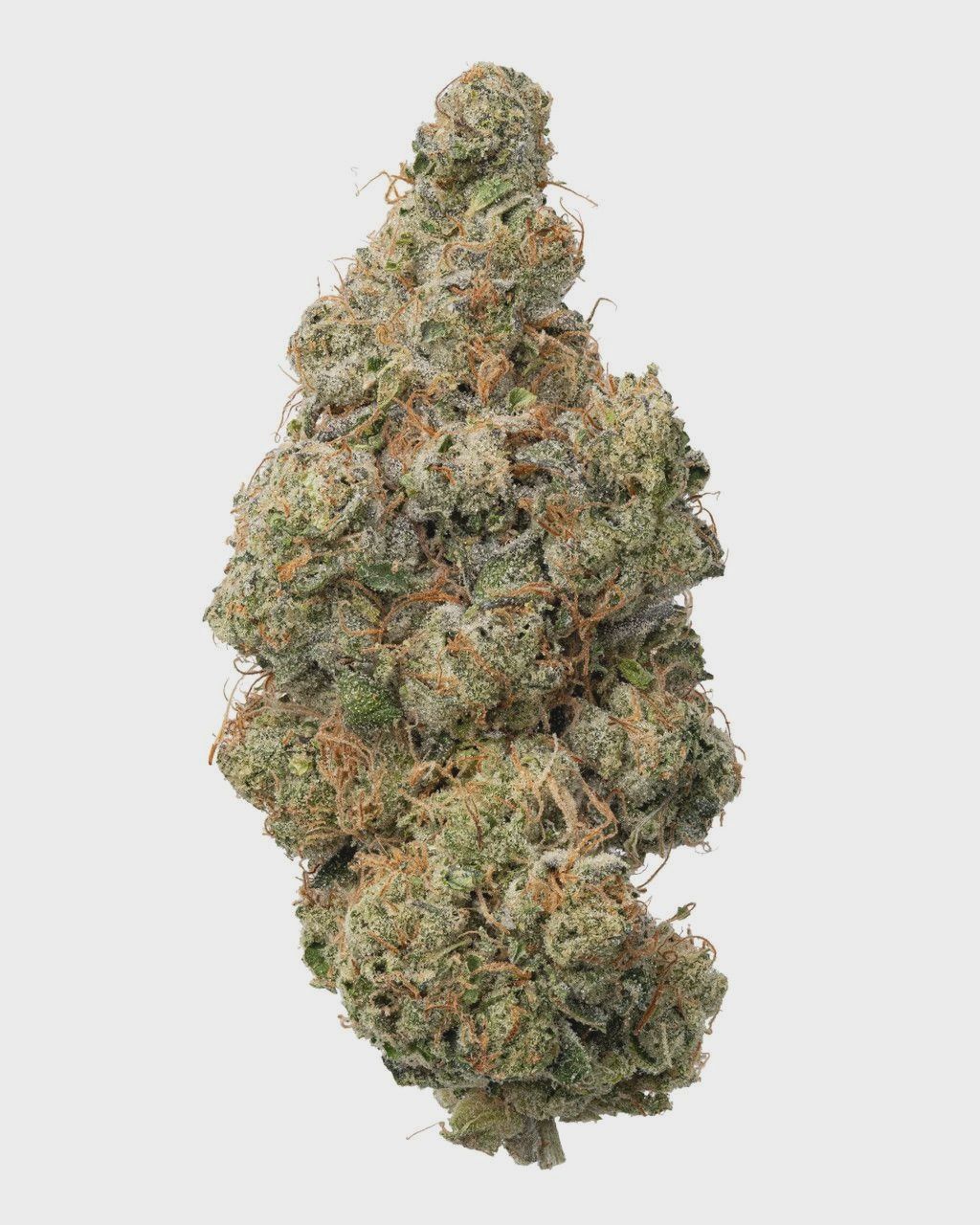 WNC: Black Maple Living Soil - Hybrid THCa Flower - 3.5g