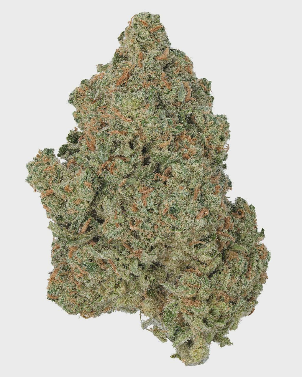WNC: Jack Herer Living Soil - Sativa THCa Flower - 3.5g