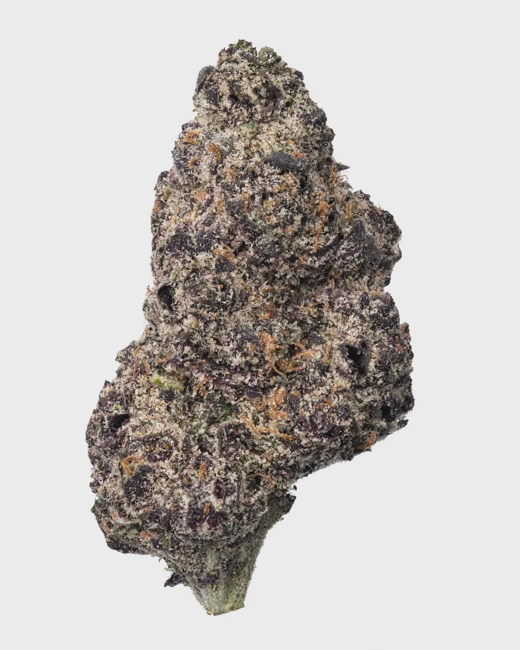 WNC: Pablo&#39;s Revenge Living Soil - THCa Indica Flower - 3.5g