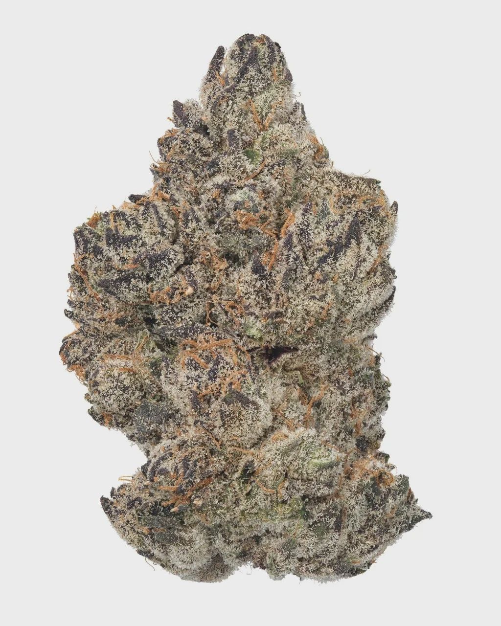 WNC: Indoor Black Velvet Living Soil - THCa Hybrid Flower 3.5g