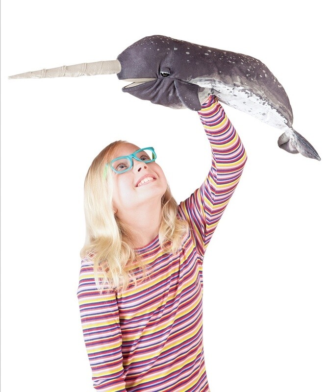 Narwhal