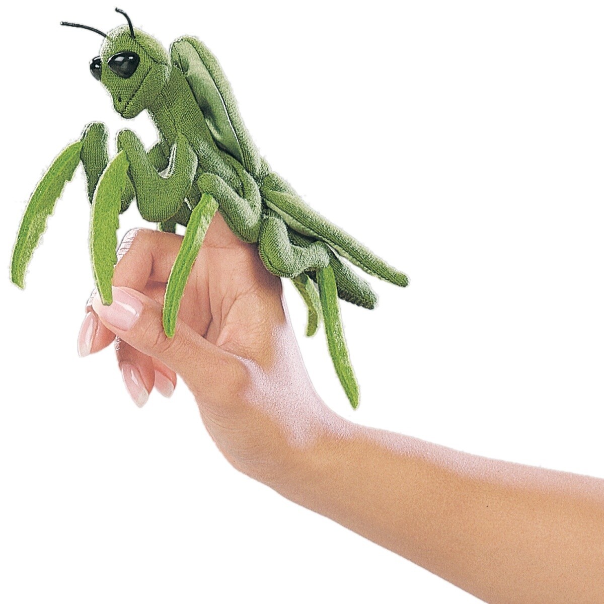 Mini Praying Mantis