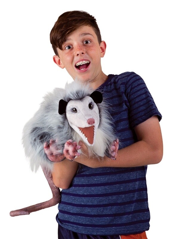 Opossum