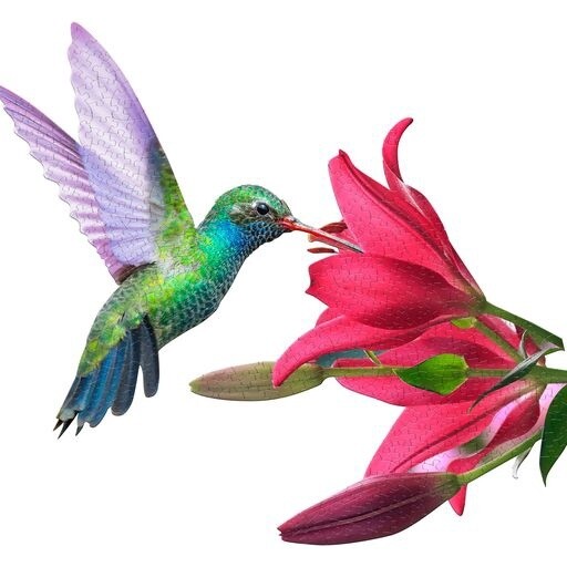 I AM HUMMINGBIRD 300 PUZZLE