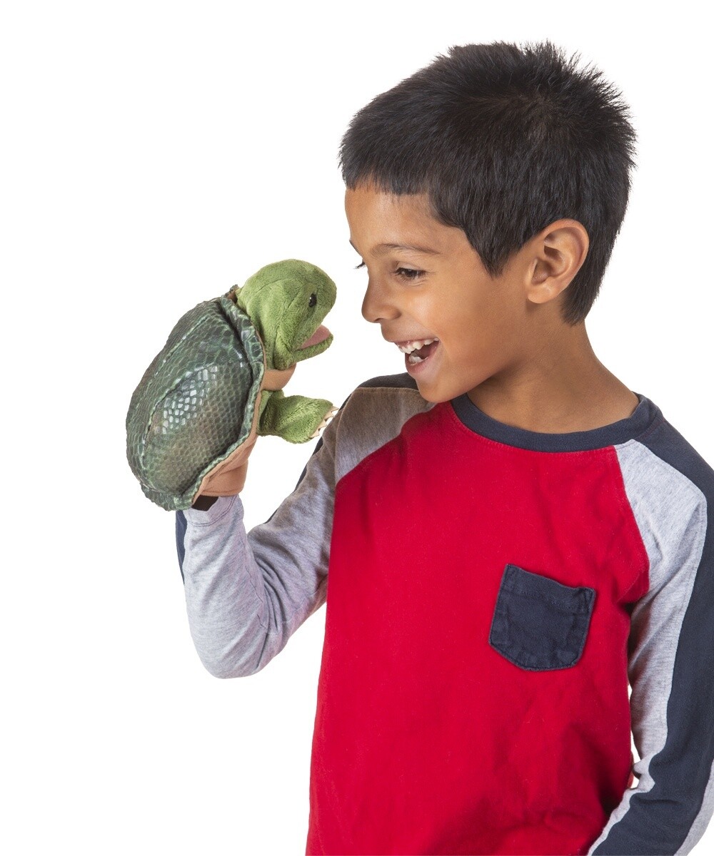 Little Turtle