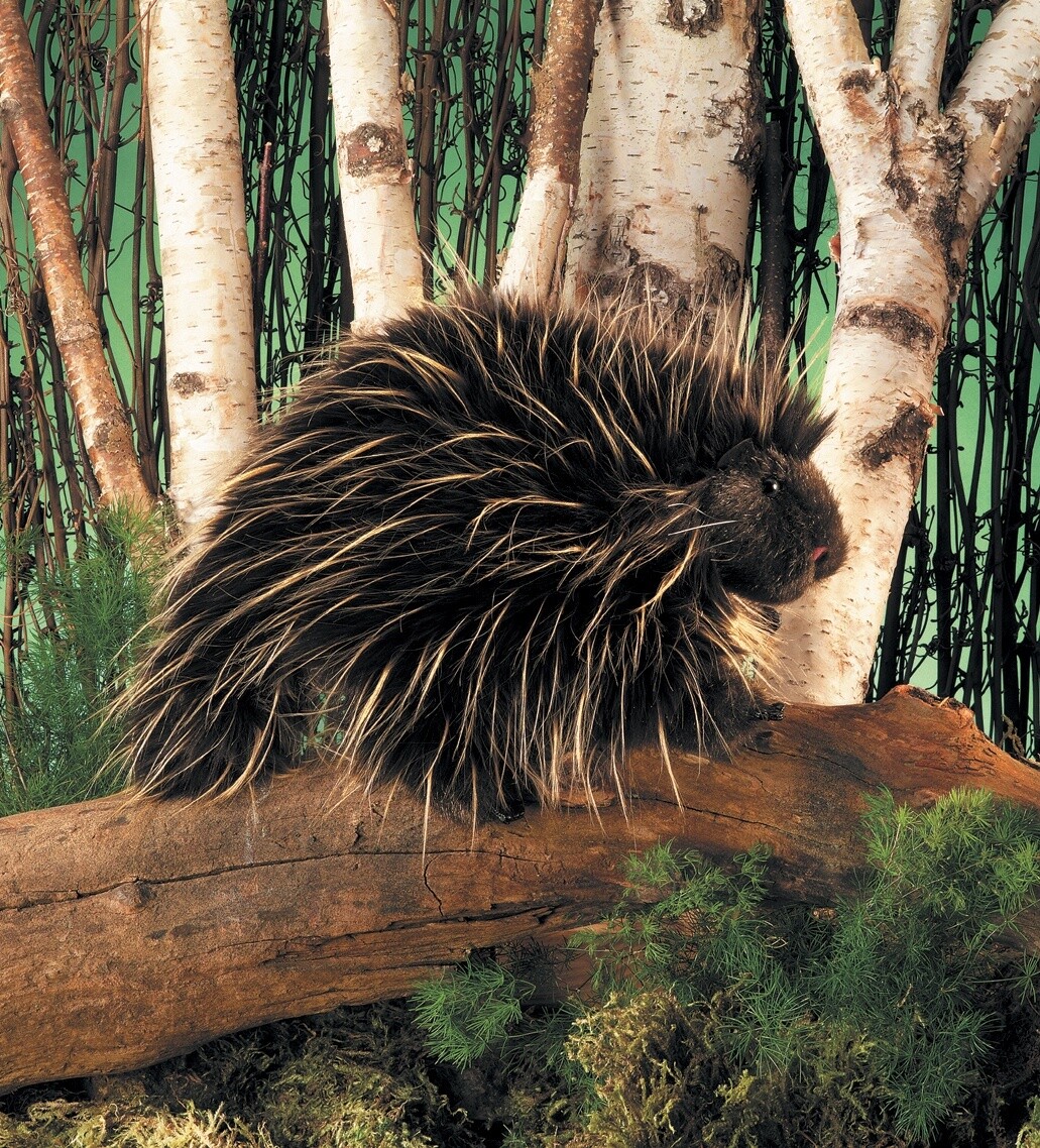 Porcupine