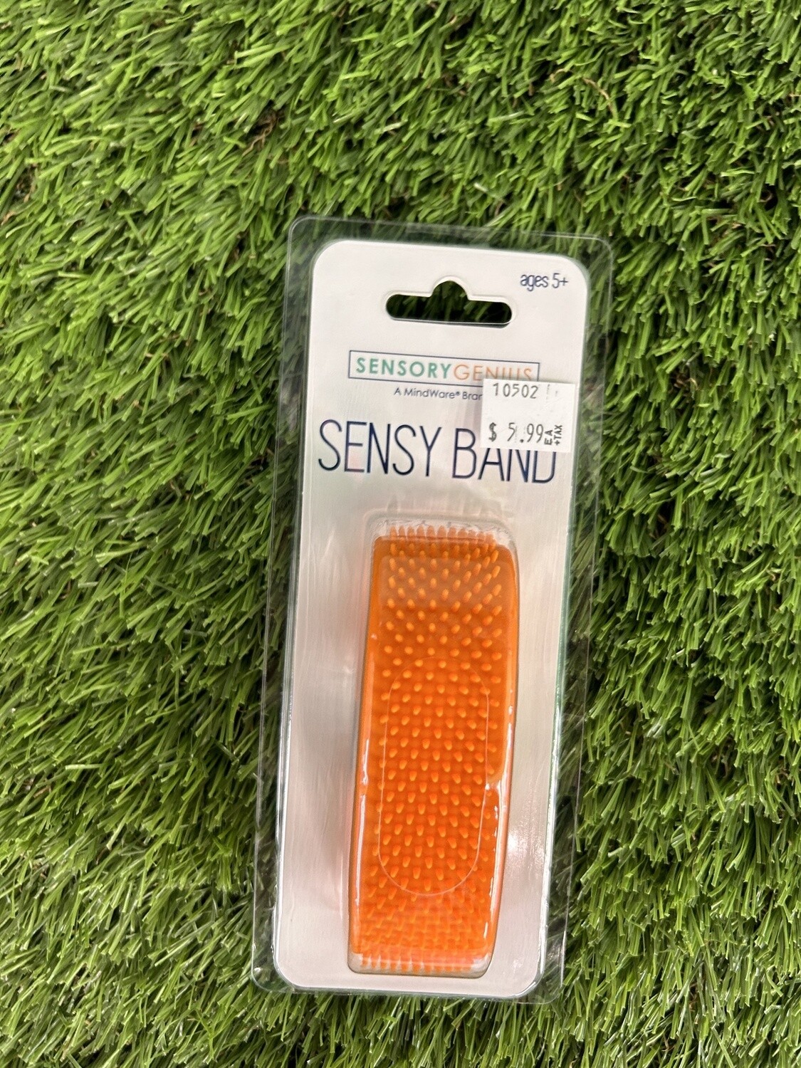 SENSORY GENIUS: SENSY  BAND