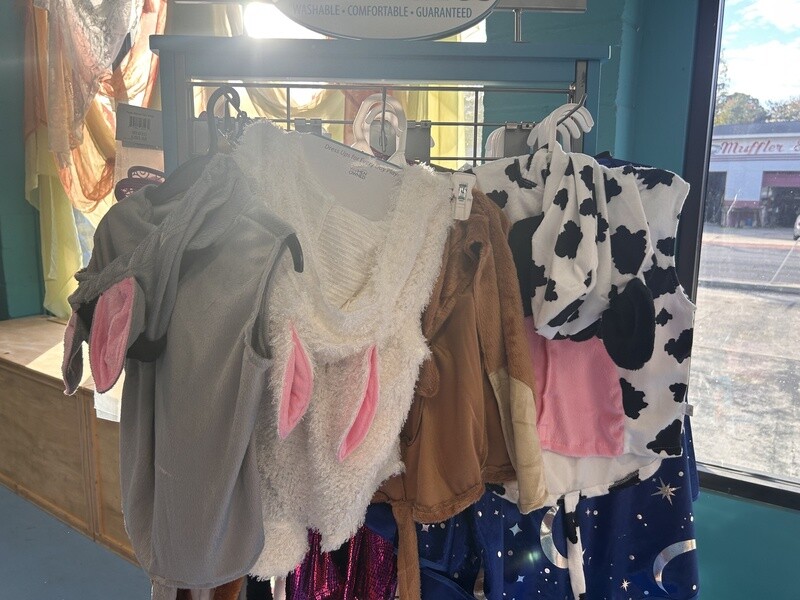 Nativity Character Vest