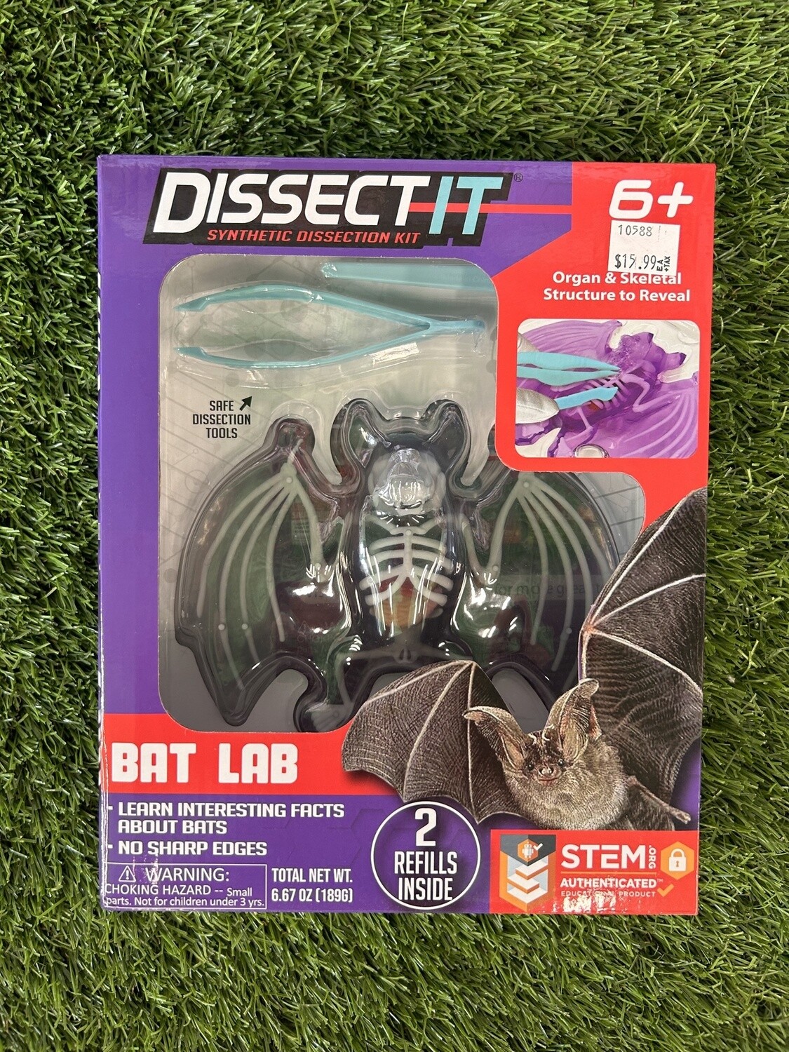 Dissect It Bat Lab