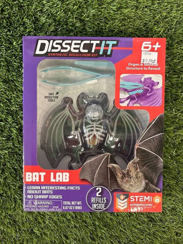 Dissect It Bat Lab