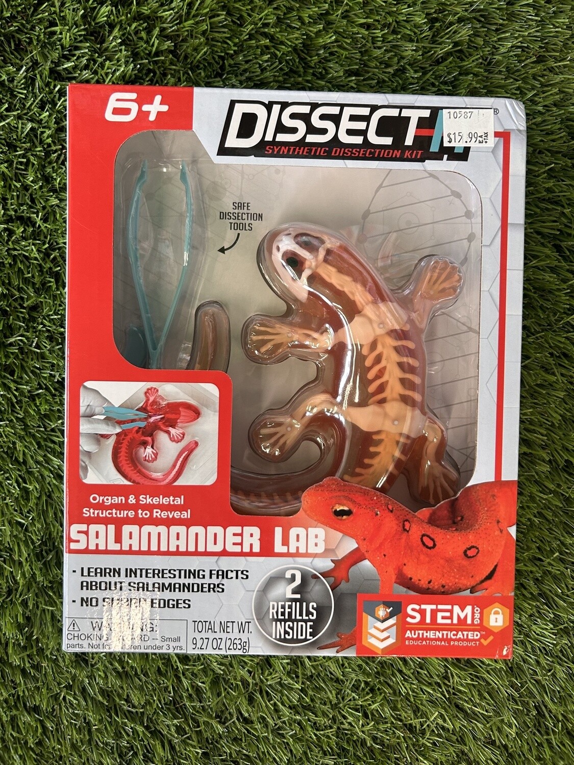 Dissect It Salamander Lab