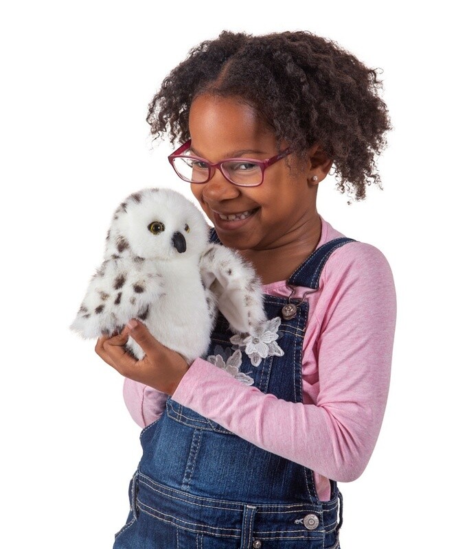 Owl, Snowy Small