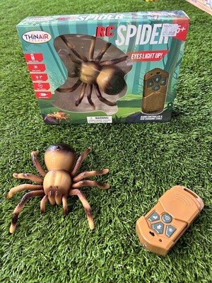 RC Spider - Brown
