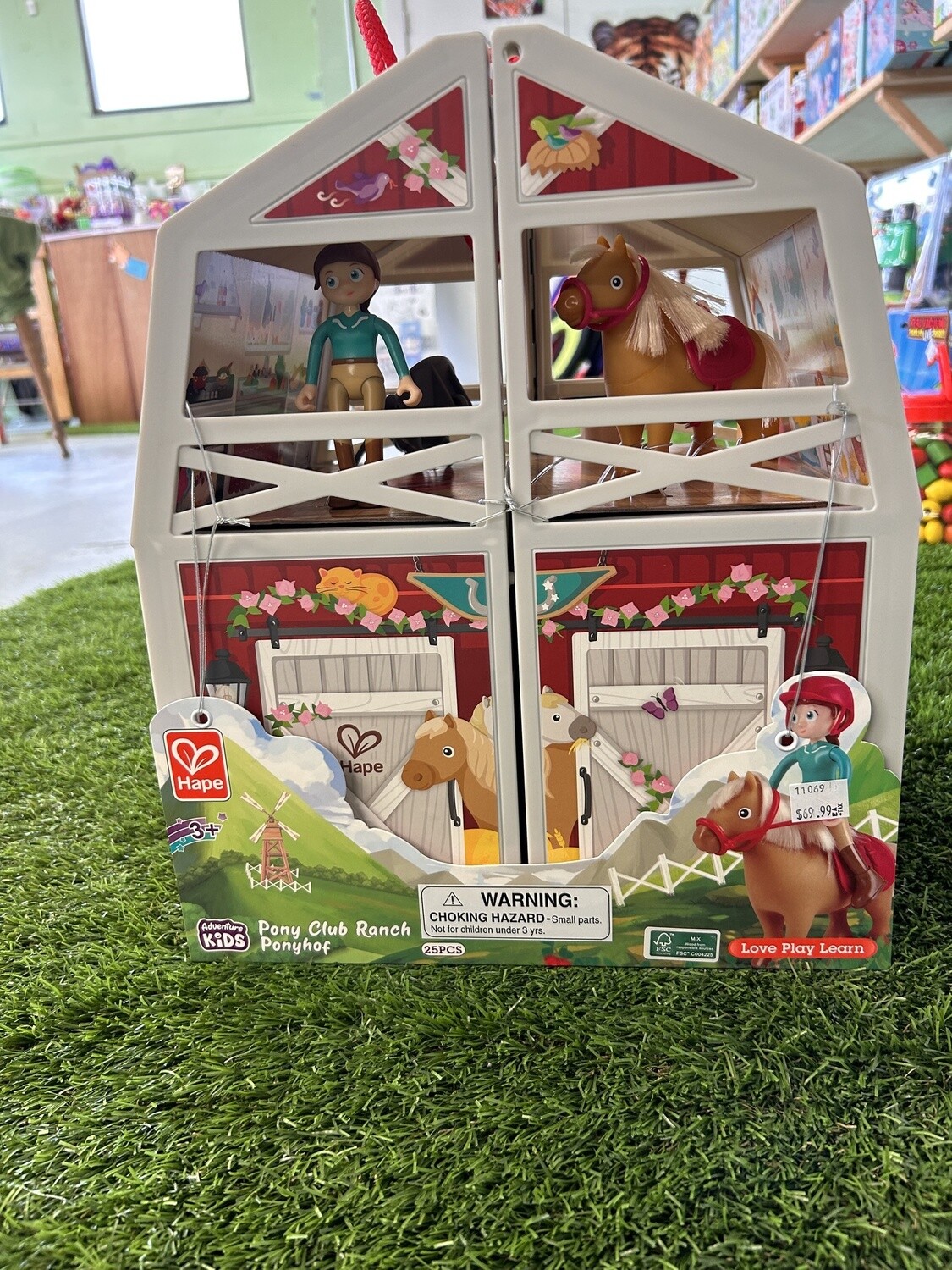 Pony Club Ranch DS