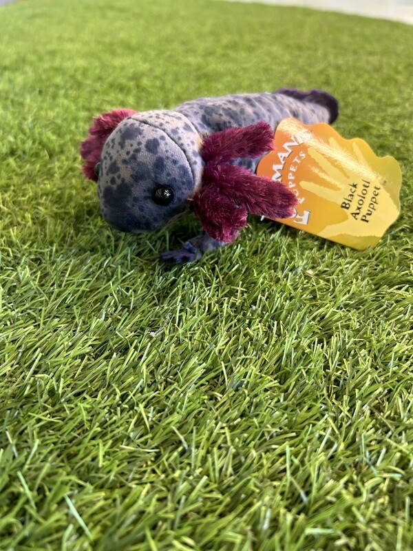 Black Axolotl
