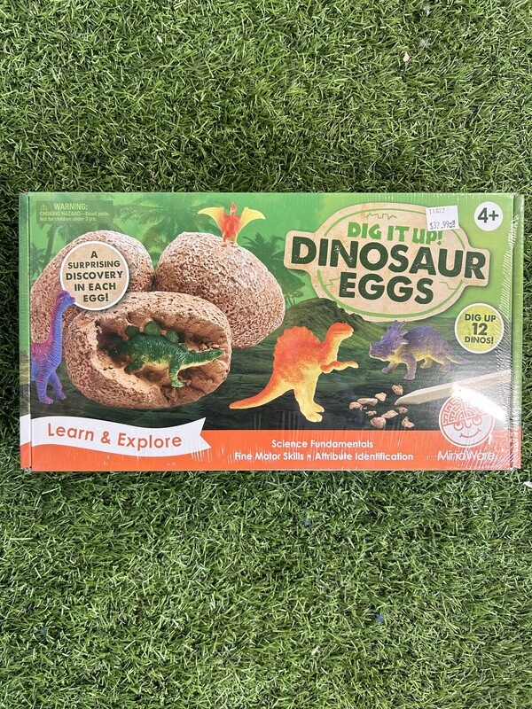 Dig It Up! Dinosaur Eggs