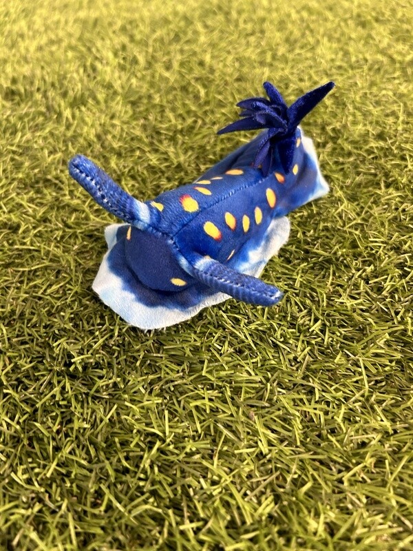 Mini Blue Nudibranch