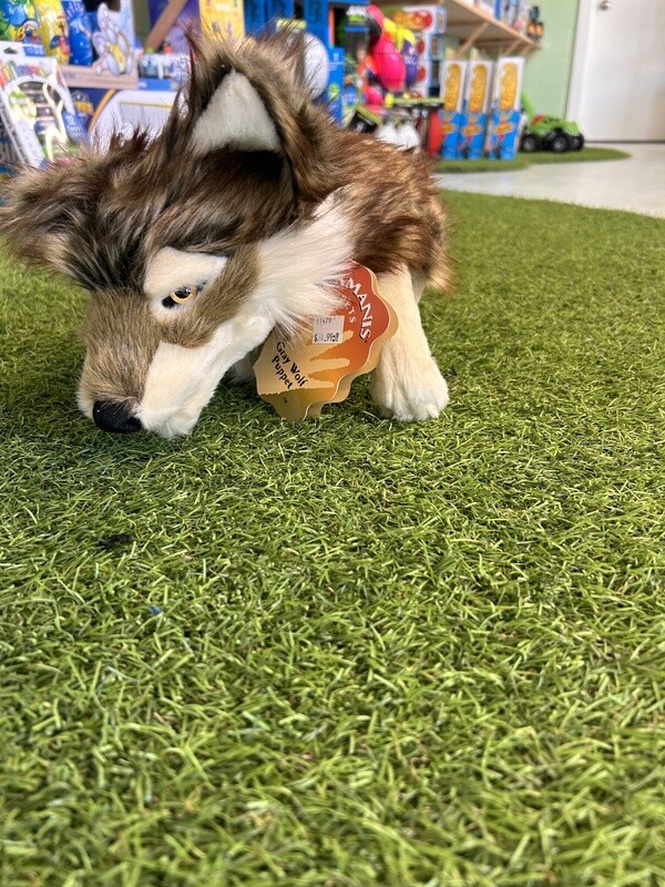 Gray Wolf