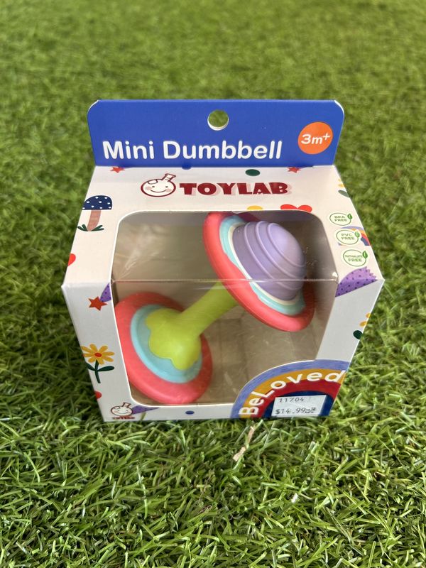 Mini Dumbbell